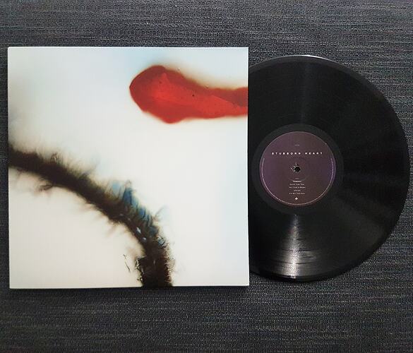 IMG_20210227_204129_301