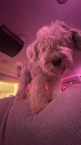 att.7CMKXUURJsDT502SPj2WgdSmQ5V283pmqe72qDqqmz0