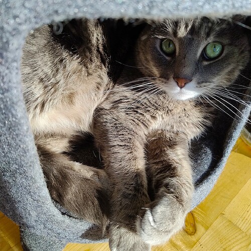 IMG_20251116_121012956