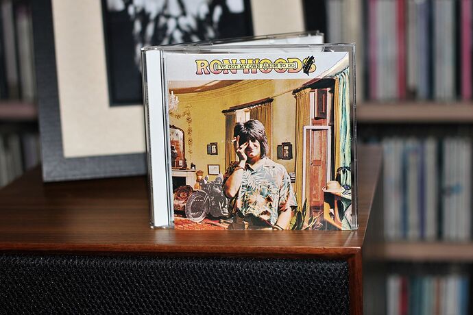 I've Got My Own Album To Do