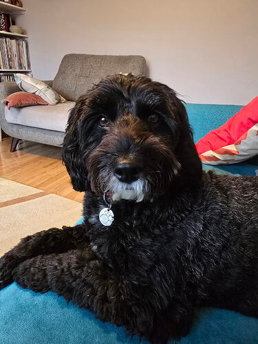 1000035251