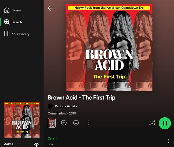 Screenshot_20240215_213205_Spotify