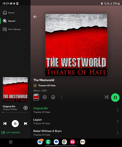 Screenshot_20240217_182954_Spotify