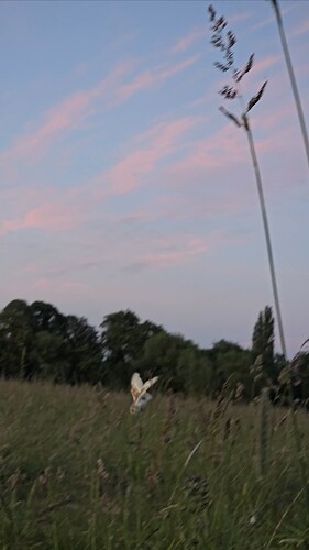 VideoCapture_20240619-215654