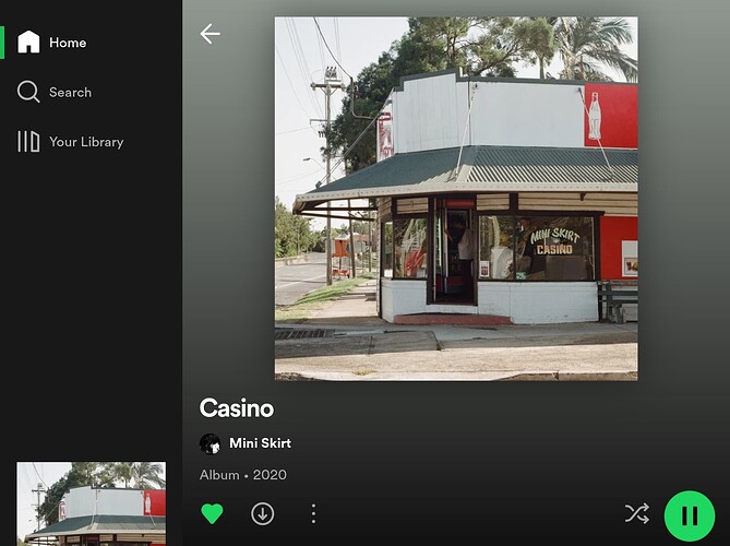 Screenshot_20230603_191908_Spotify