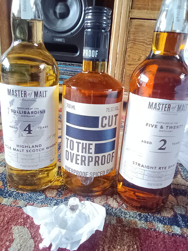 IMG_20240703_135539_8