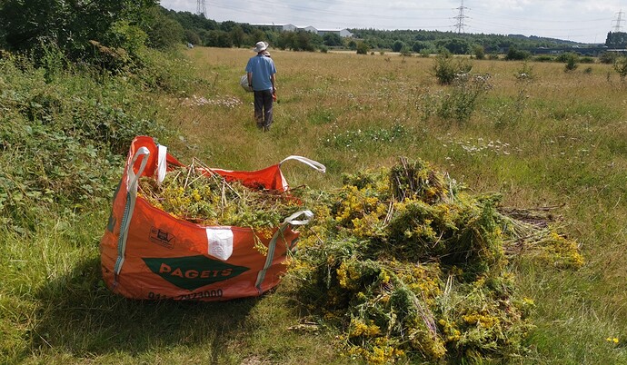 IMG_20210804_124749-01