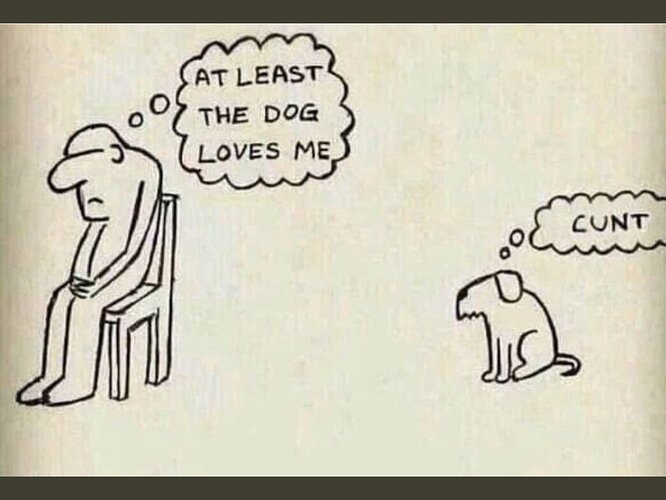 at least the dog loves me