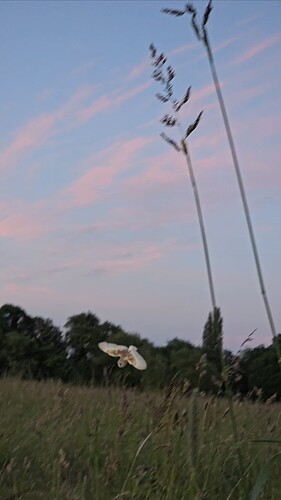 VideoCapture_20240619-215743