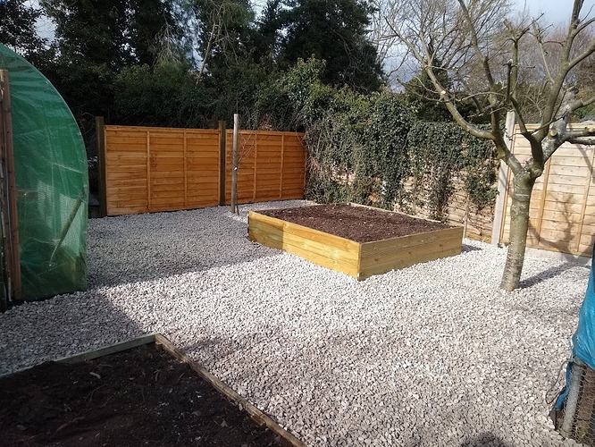 IMG_20190302_115416297