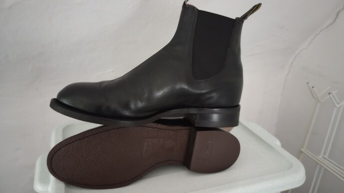 IMG_20240320_142355555