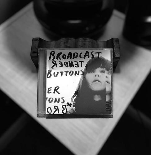 Tender Buttons