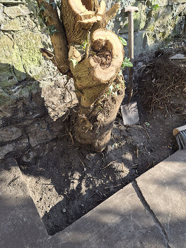 10339