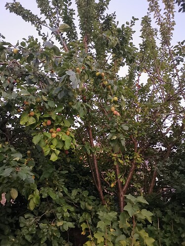 IMG_20220810_210535-01