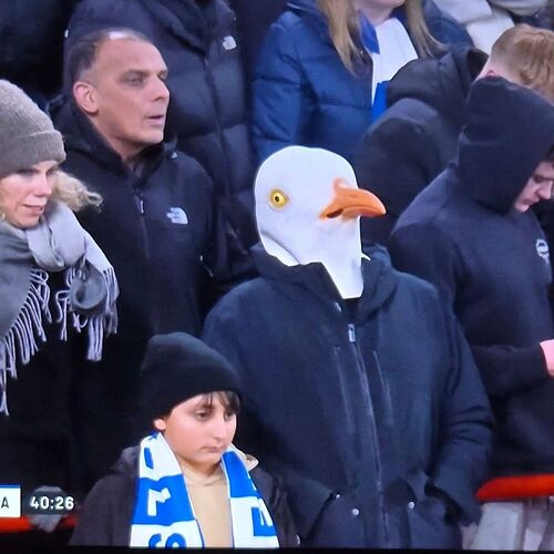 bafkreihbcqigggdzzpzdup6sscqd2jtbrbxjl5nrvv6mgjryfehmjpr66i