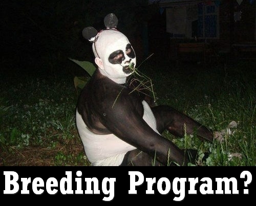 Breeding Program
